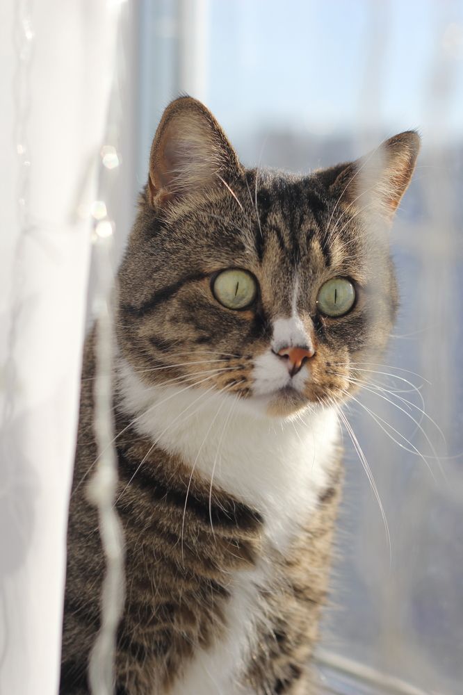 Photograph by Макарова Татьяна