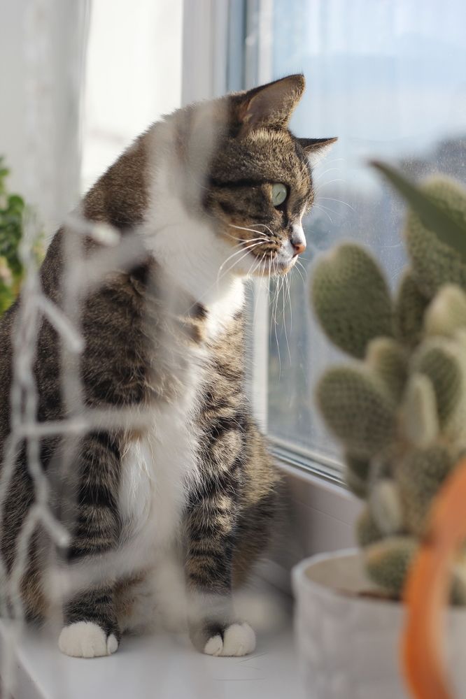 Photograph by Макарова Татьяна