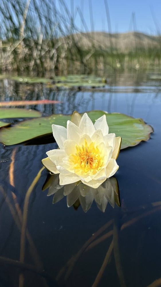 Photograph by Ольга Колосова