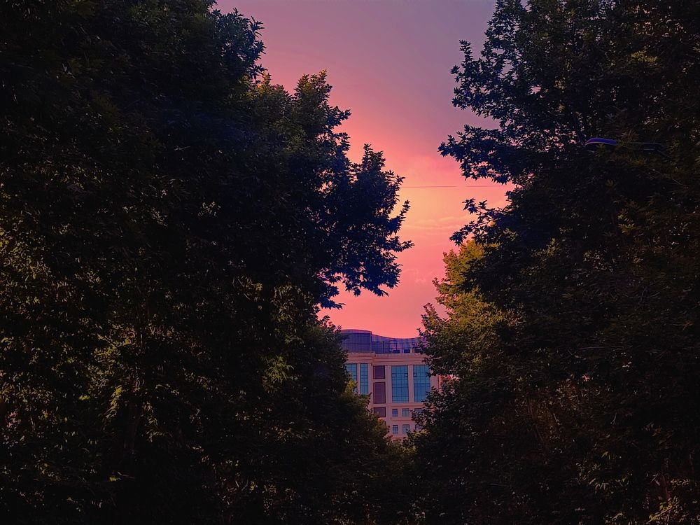 Photograph by ali asghar ahngari