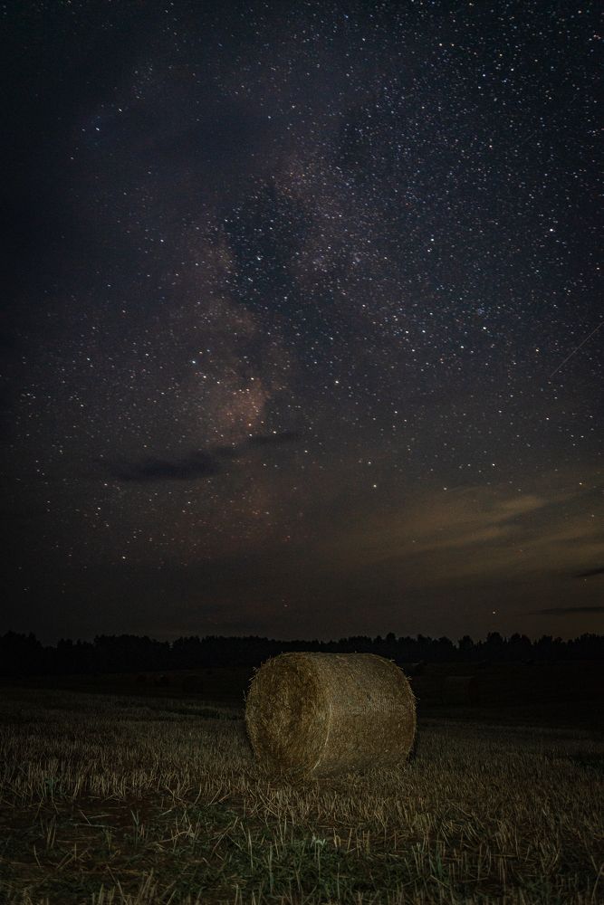 Фотография автора Шуплецов Алексей