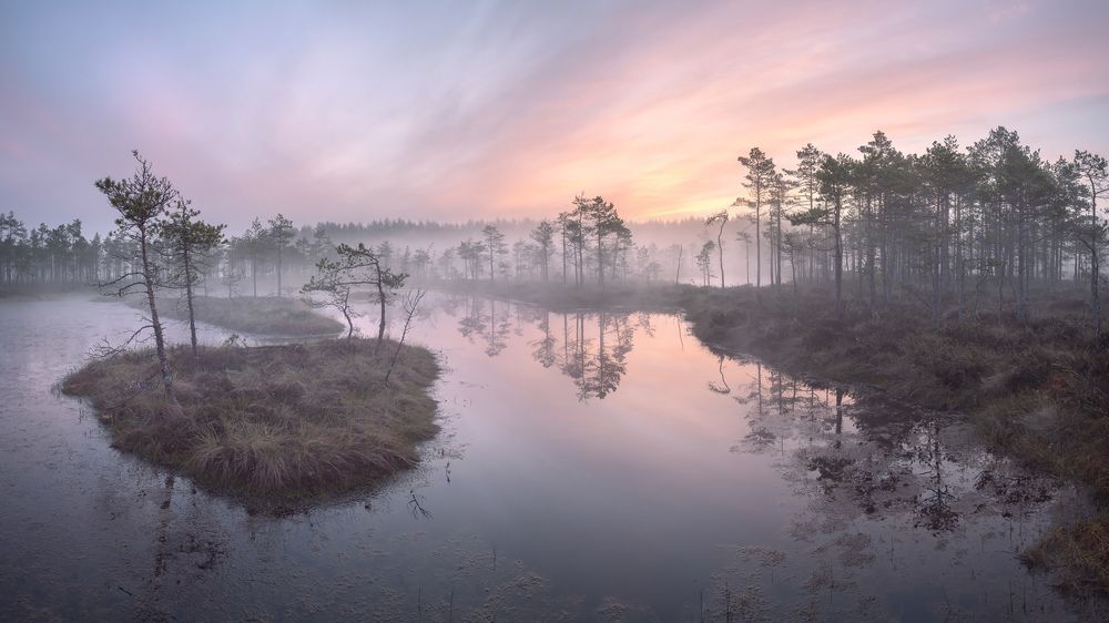 Photograph by Арсений Кашкаров