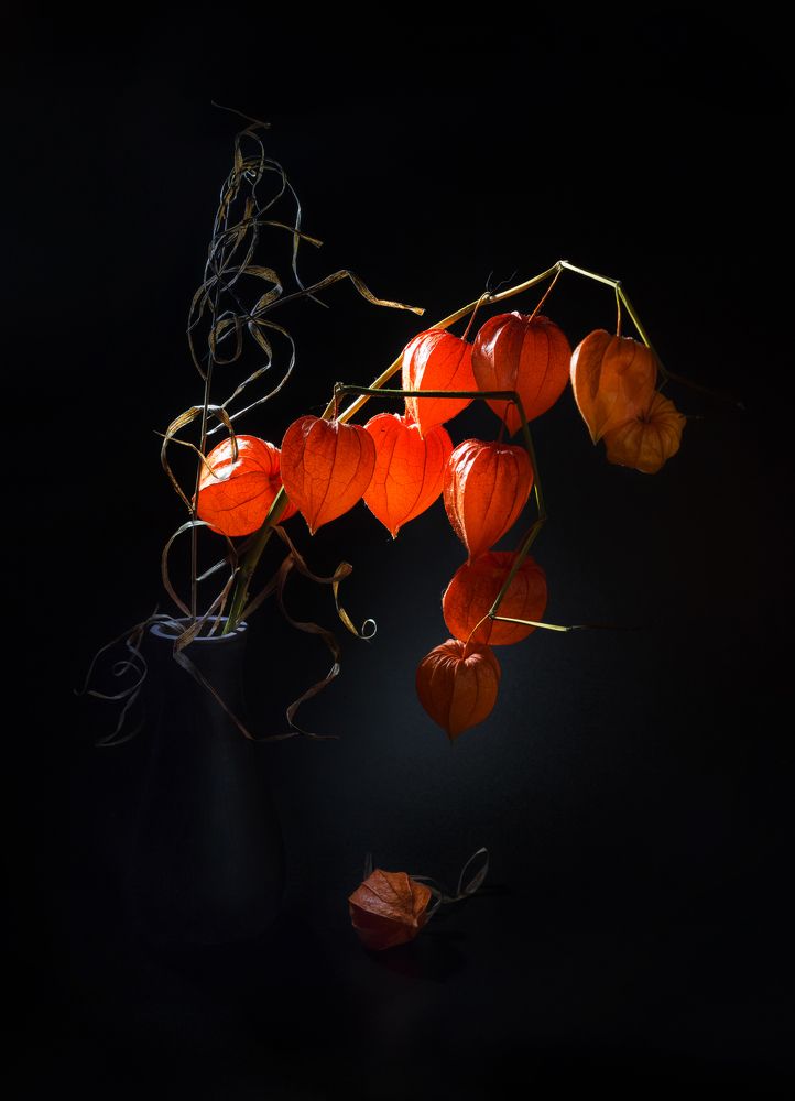 Photograph by Хвойнова Елена