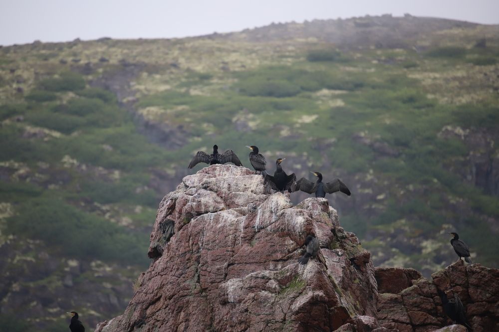 Photograph by Юлия Баринова