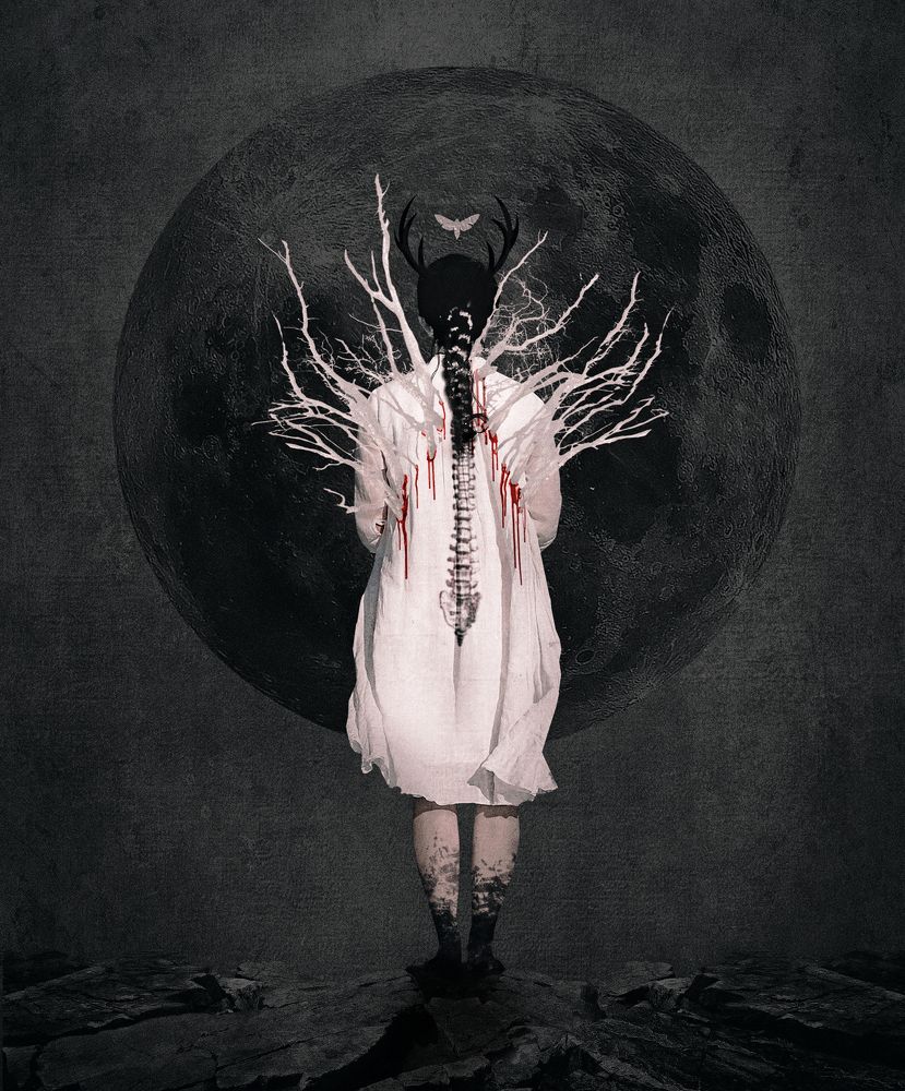 Photograph by Lana Cardi