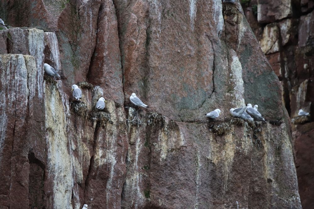 Photograph by Юлия Баринова