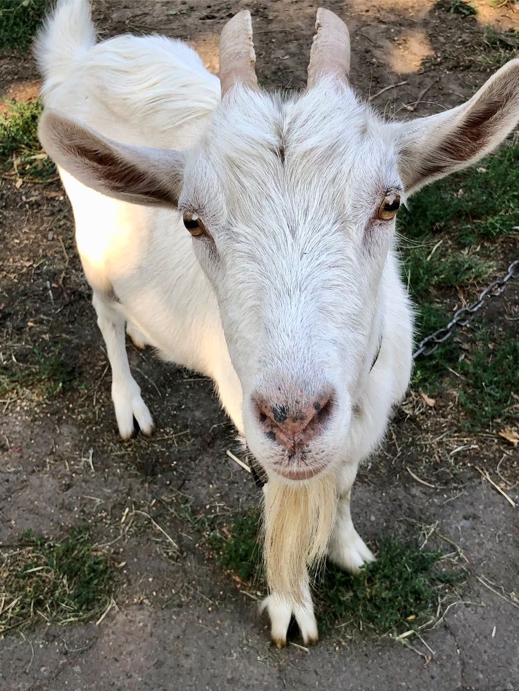 Photograph by Halina Mitsevich