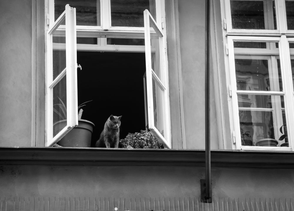 Photograph by Валерия Маркова