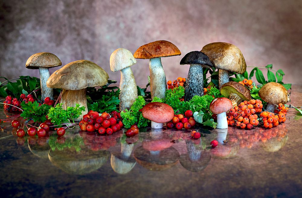 Photograph by NADEZHDA PELYMSKAIA