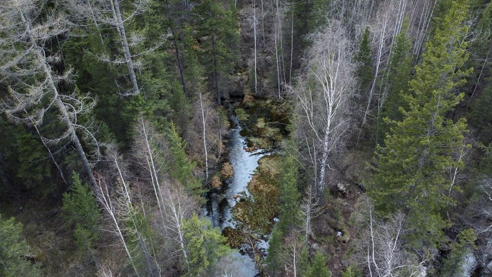 Фотография автора Elena Gasay