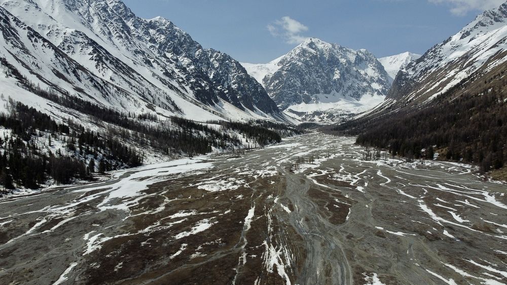 Фотография автора Elena Gasay