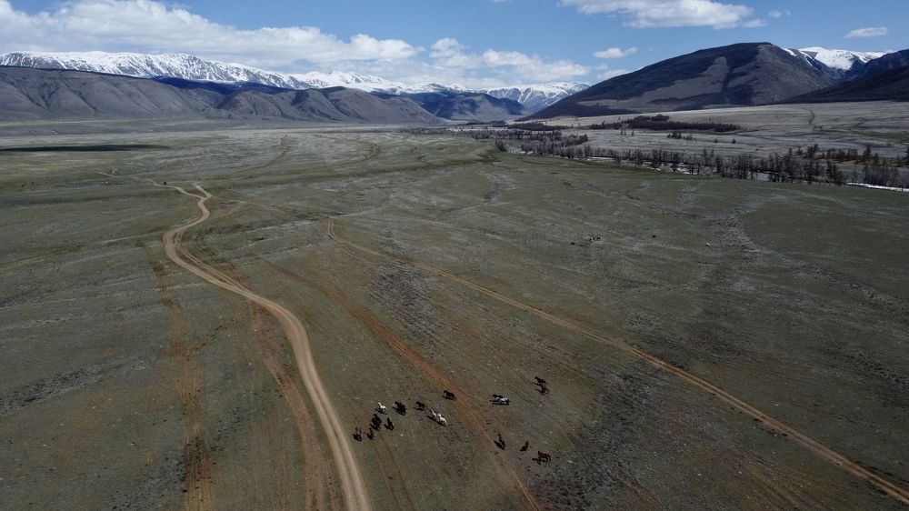 Фотография автора Elena Gasay