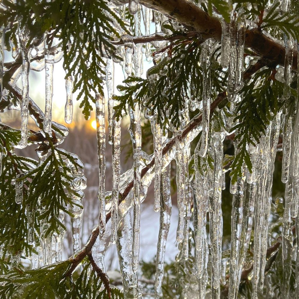 Photograph by Елена Павлова