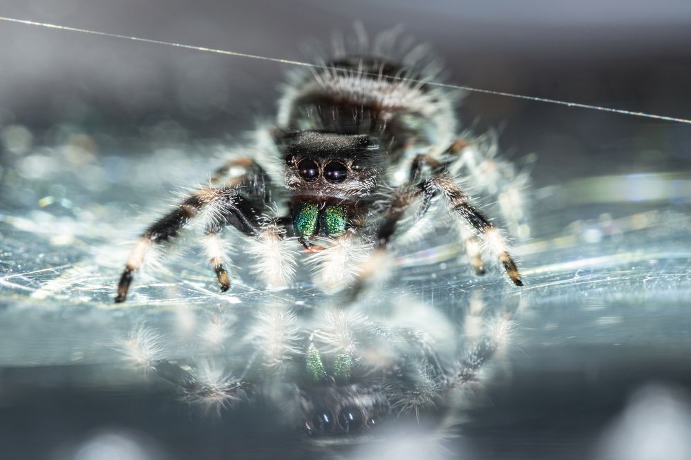 Photograph by Olga Link