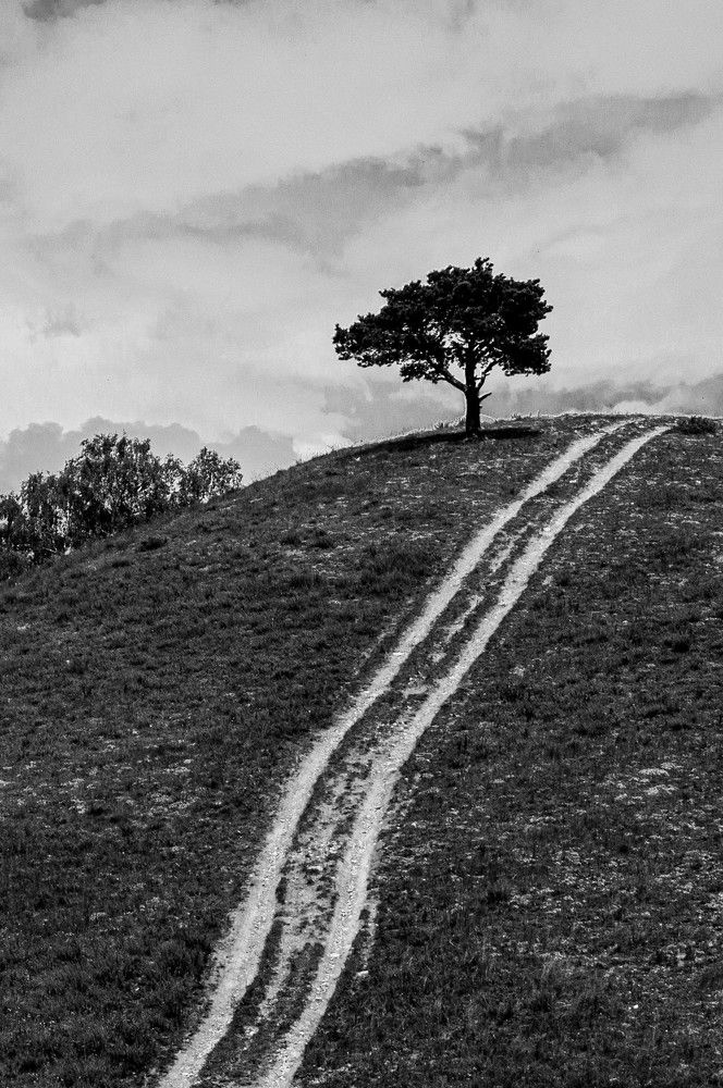 Photograph by Виктория Максюта