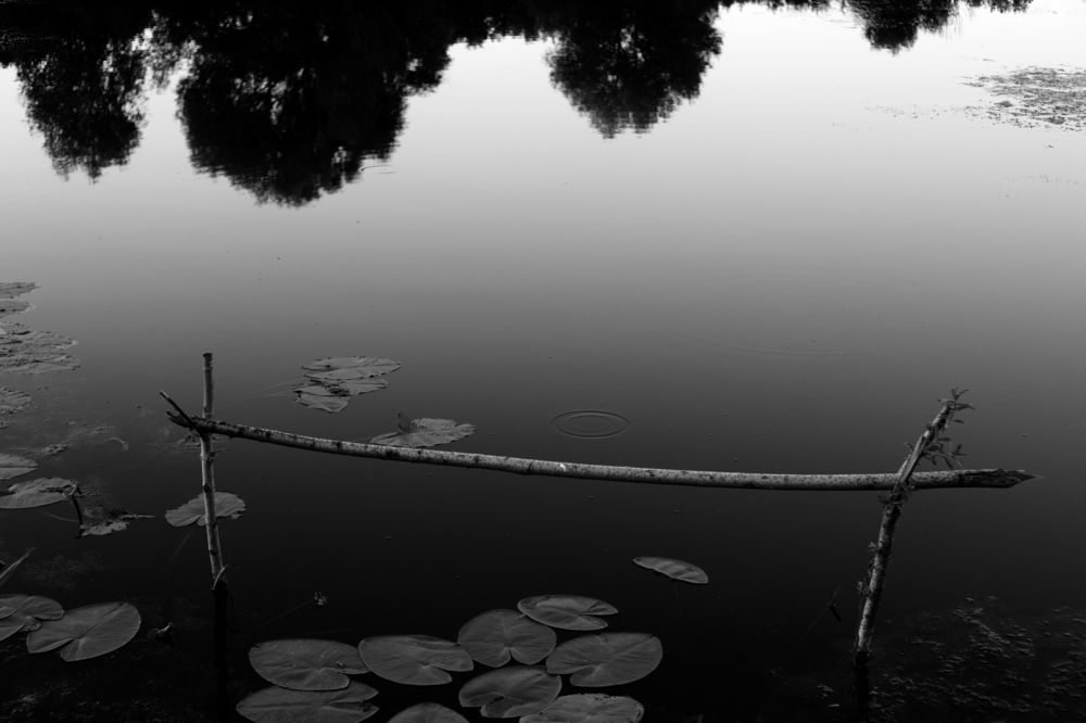 Photograph by A N D R E Y