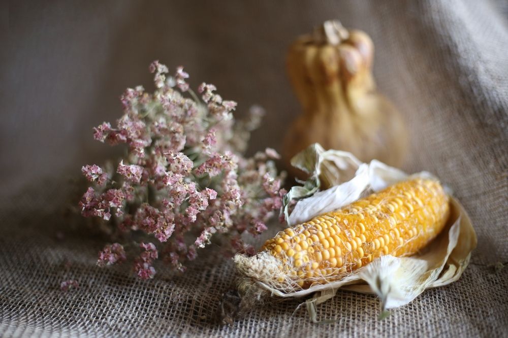 Кукуруза - царица полей.