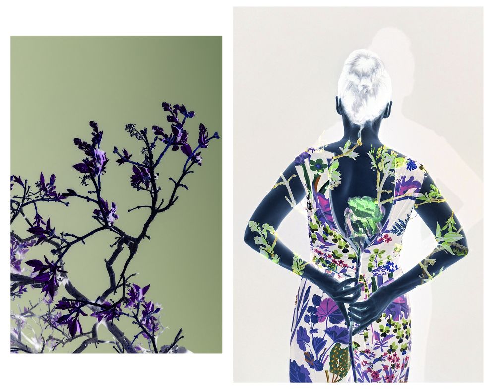 Photograph by Екатерина Золотых