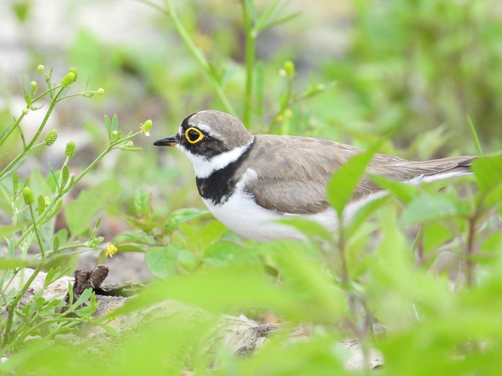 Photograph by Владимир Джерихов