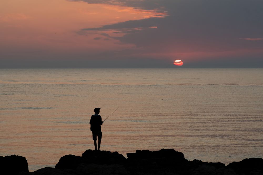 Photograph by Оксана Ребристая