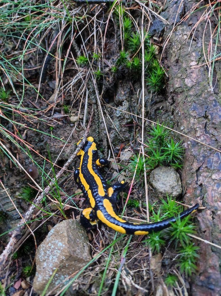 Photograph by Olga Dz