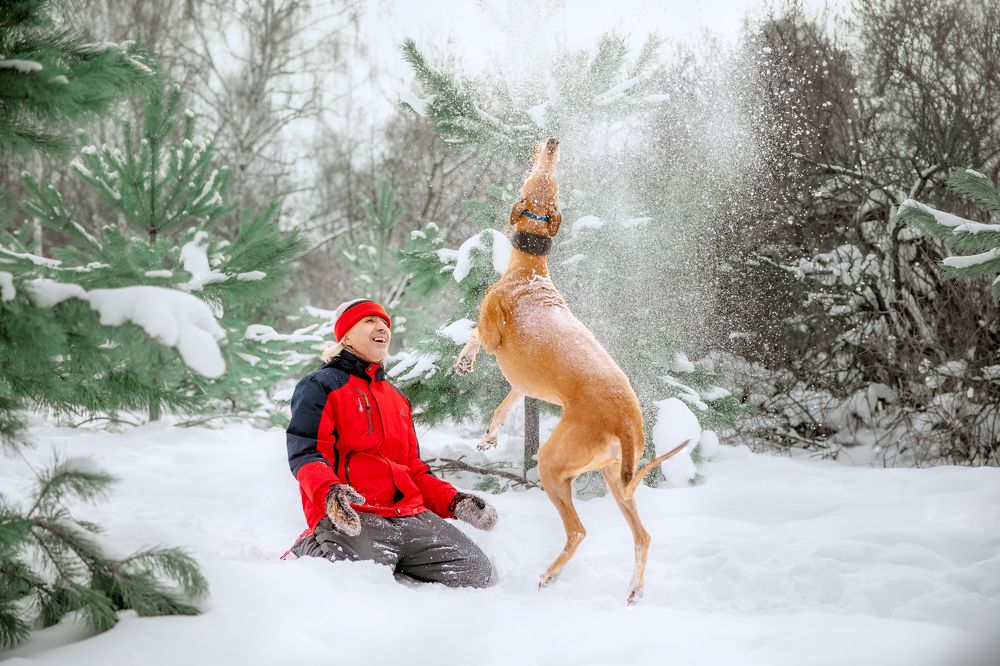 Photograph by Оксана Владимировна
