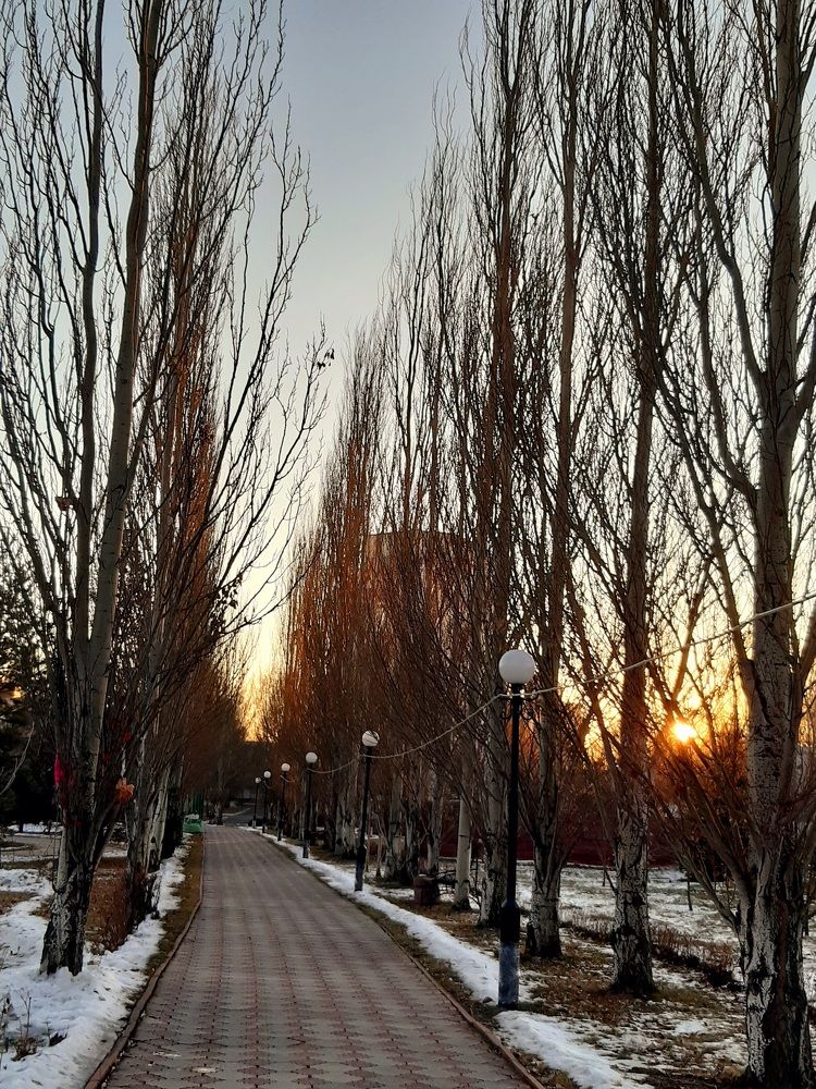 Фотография автора Наталья Шендяпина