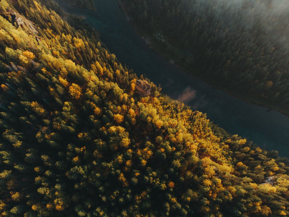 Фотография автора Вячеслав Бобин