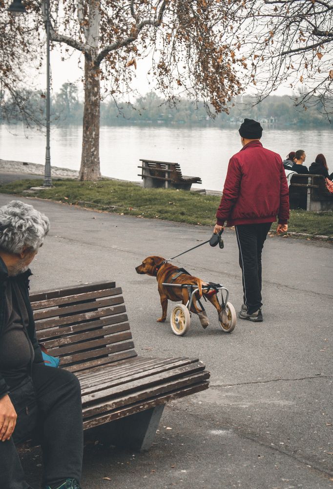 Photograph by Николай Ефимов
