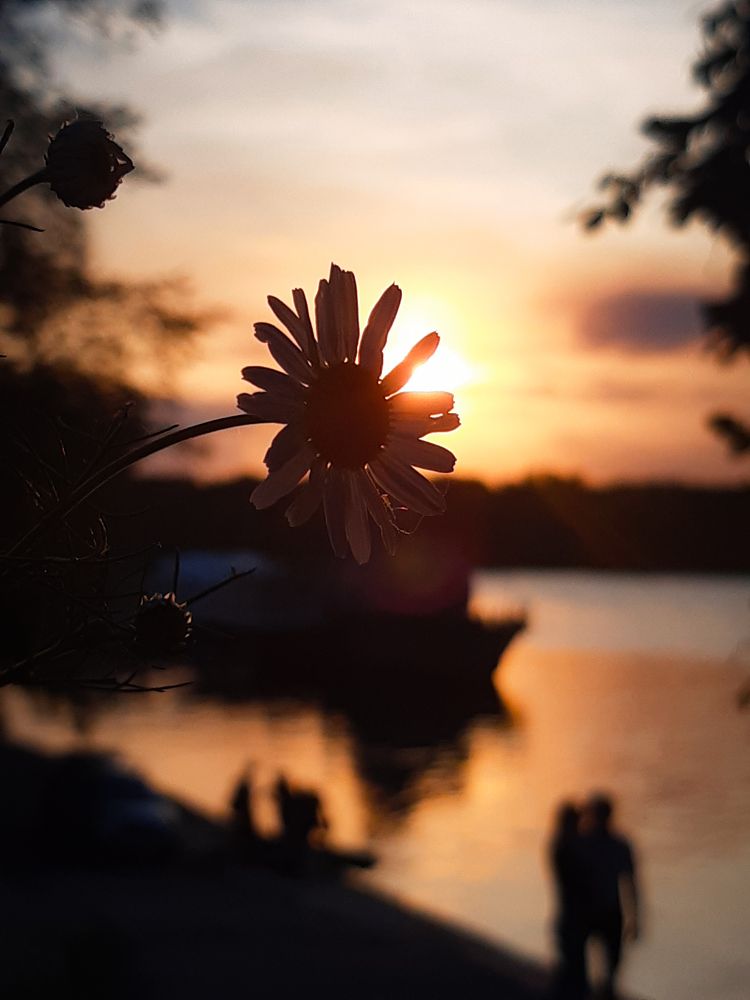 Photograph by Людмила