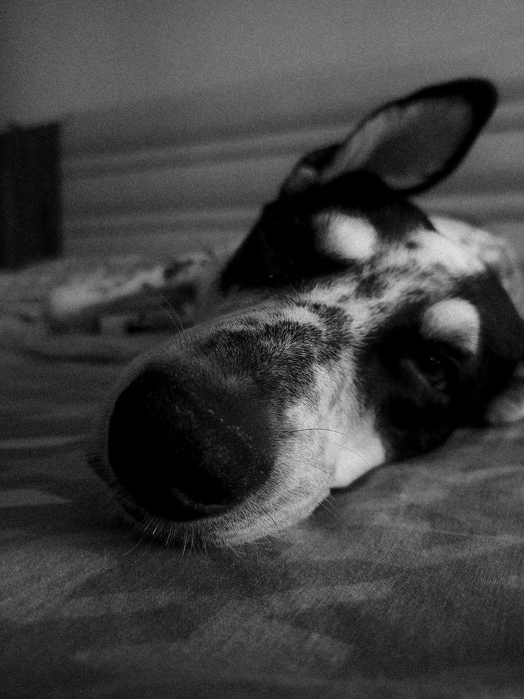Photograph by Nikunj Prajapati