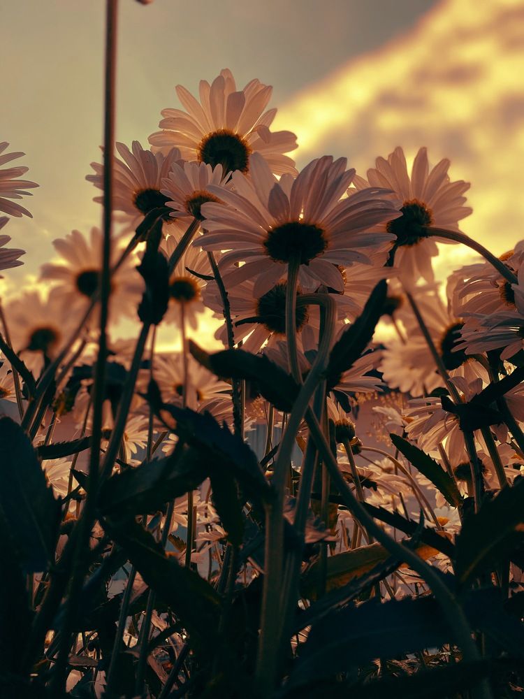 Фотография автора Юлия Дударёнок