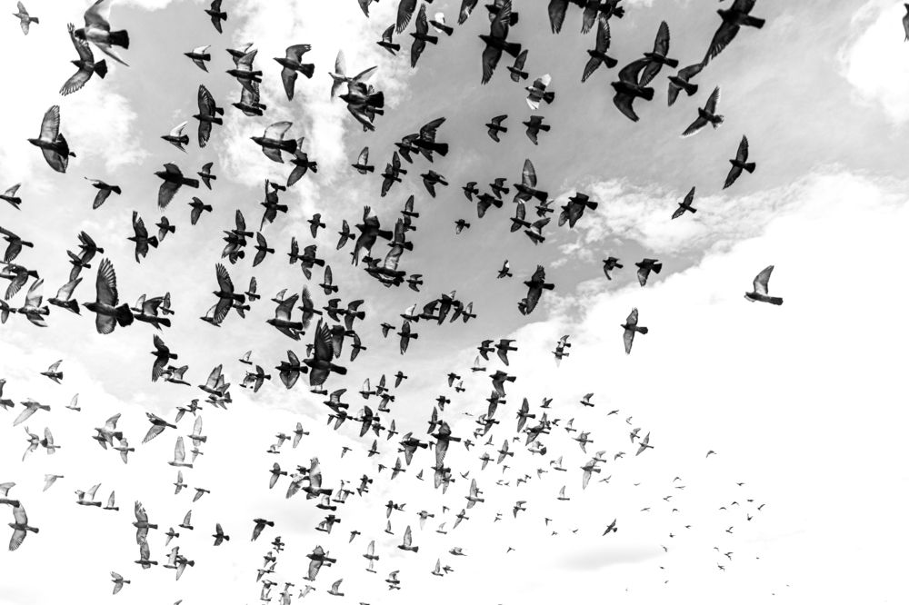 Photograph by Rafael Idrovo