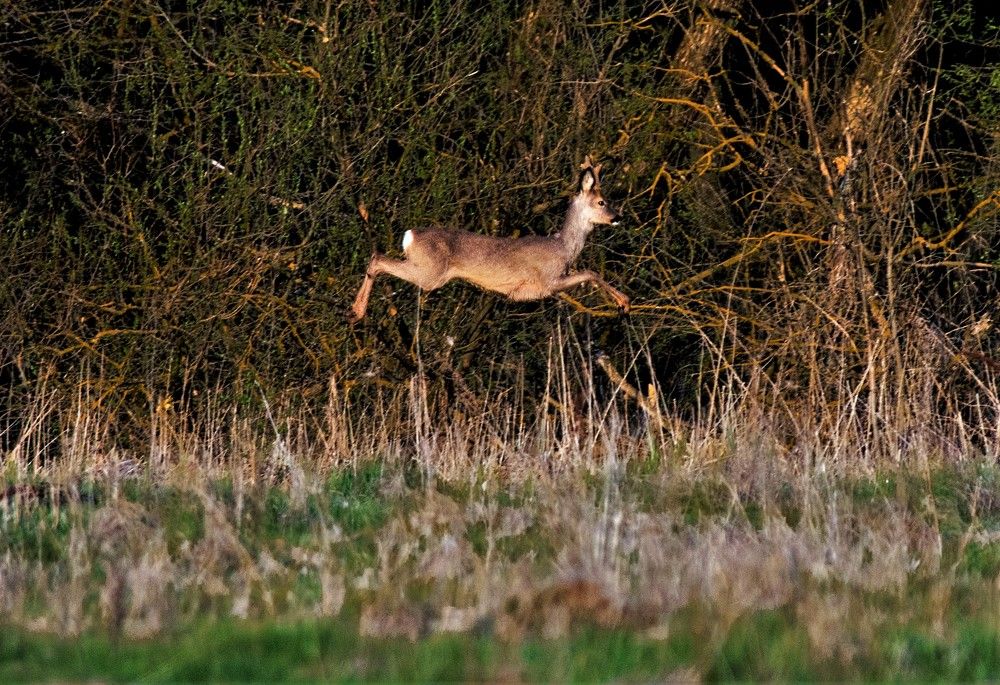 Photograph by Алексей Сиваков