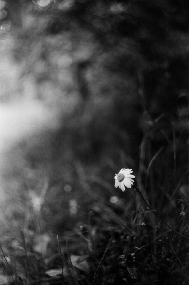 Photograph by Роза Хидиятова