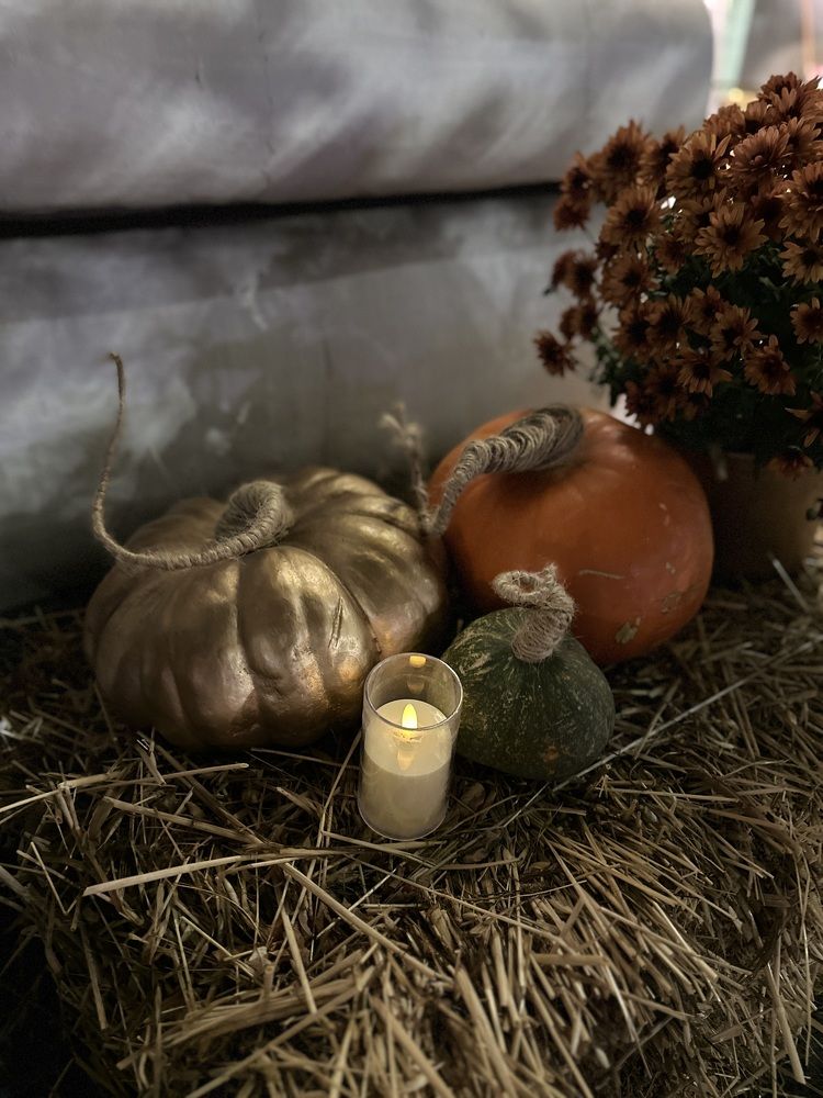 Photograph by Анна Лепихина