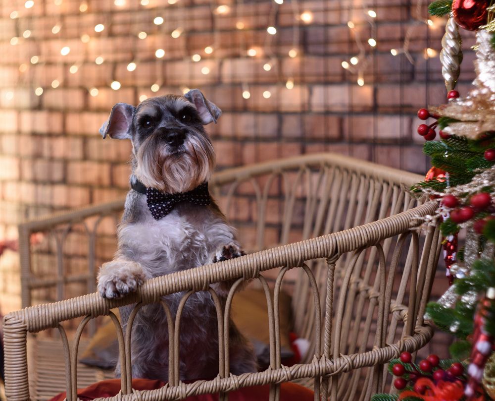 Photograph by Елена Мустафина