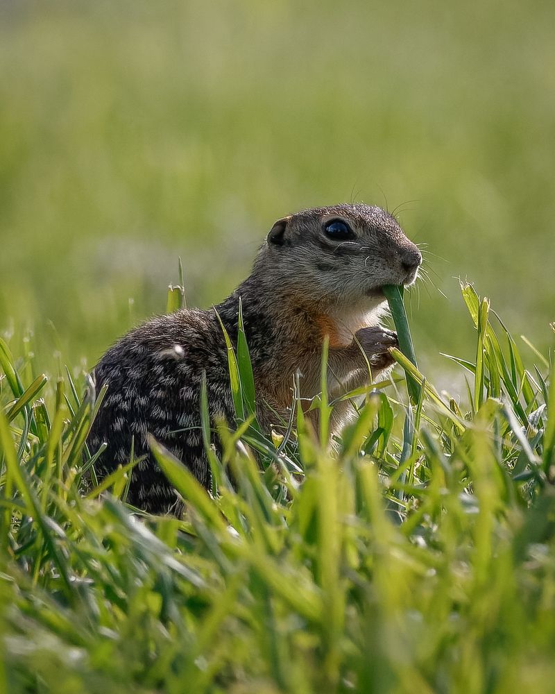 Фотография автора Rimma Gerasimenko