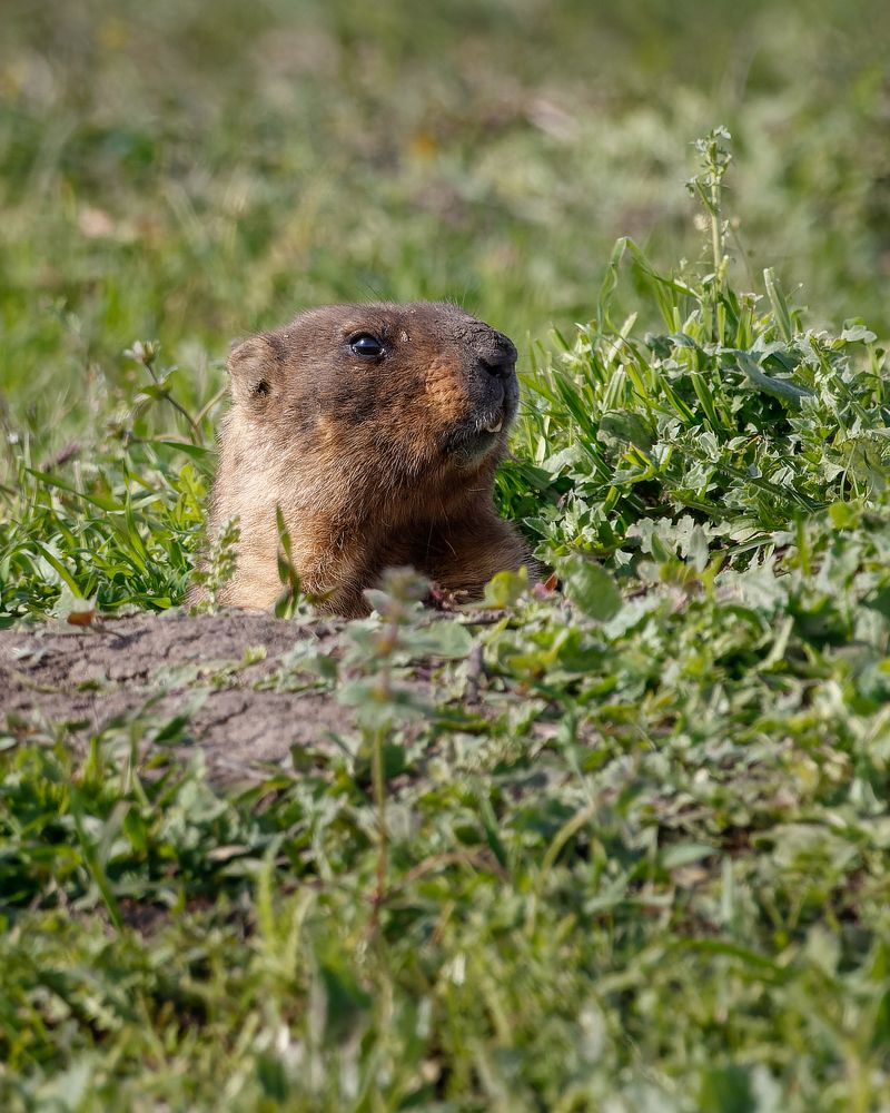 Фотография автора Rimma Gerasimenko