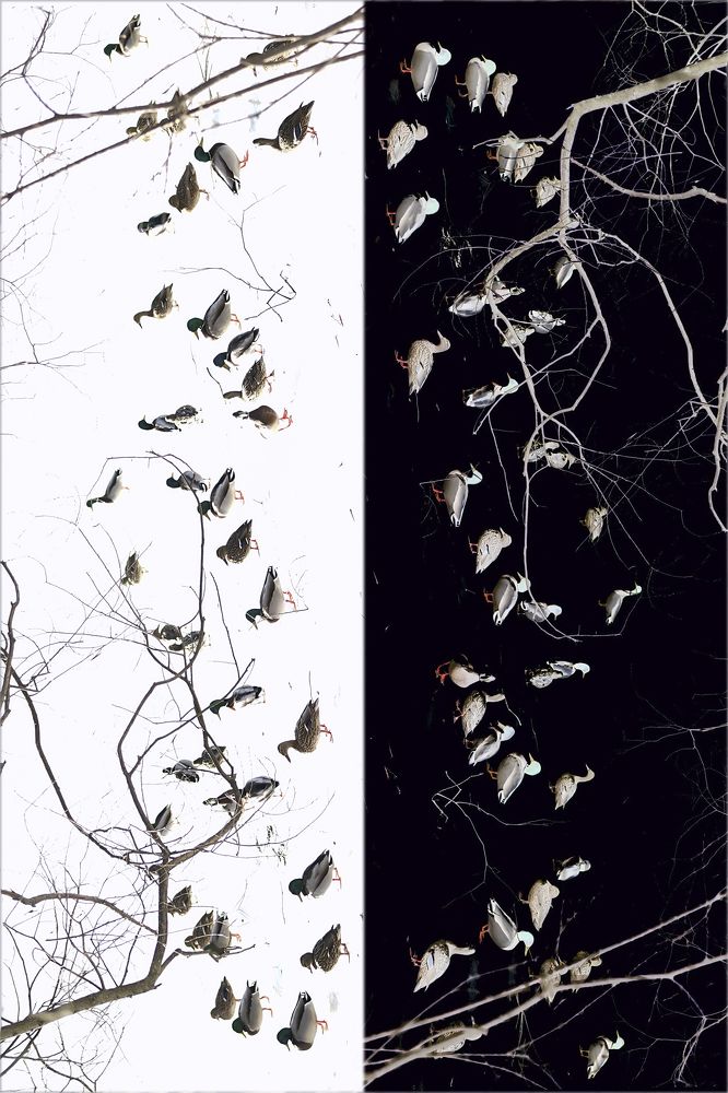 Photograph by Екатерина Золотых