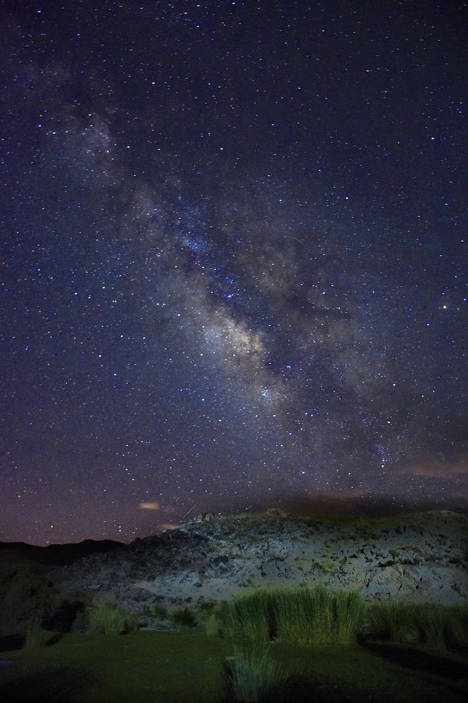 Фотография автора Mohsen Tavakoli