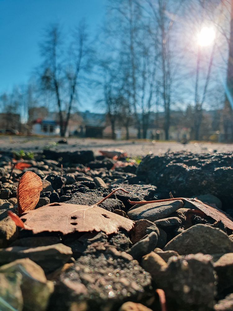 Photograph by Олег Титкин