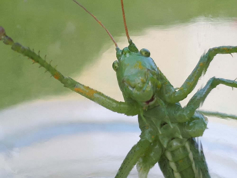 Photograph by Виктория Образцова