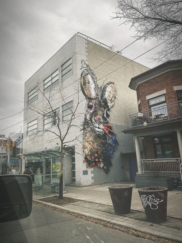 Photograph by Giovanna D'Lucca