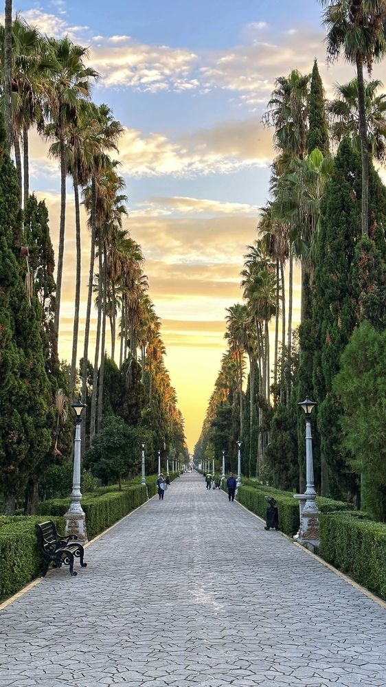 Photograph by Shahrzad Kadkhodaei