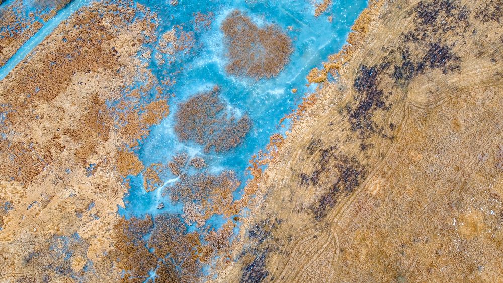 Photograph by Дарья Аниськова