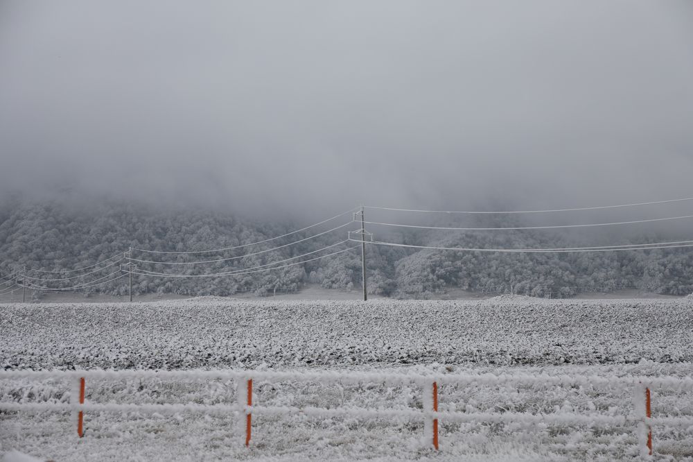 Photograph by Grey Alex