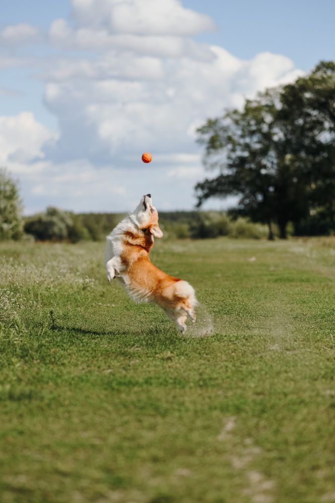 Фотография автора Алена Ковалёва