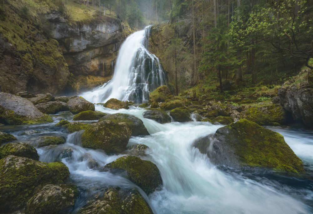 Photograph by Lara Iris