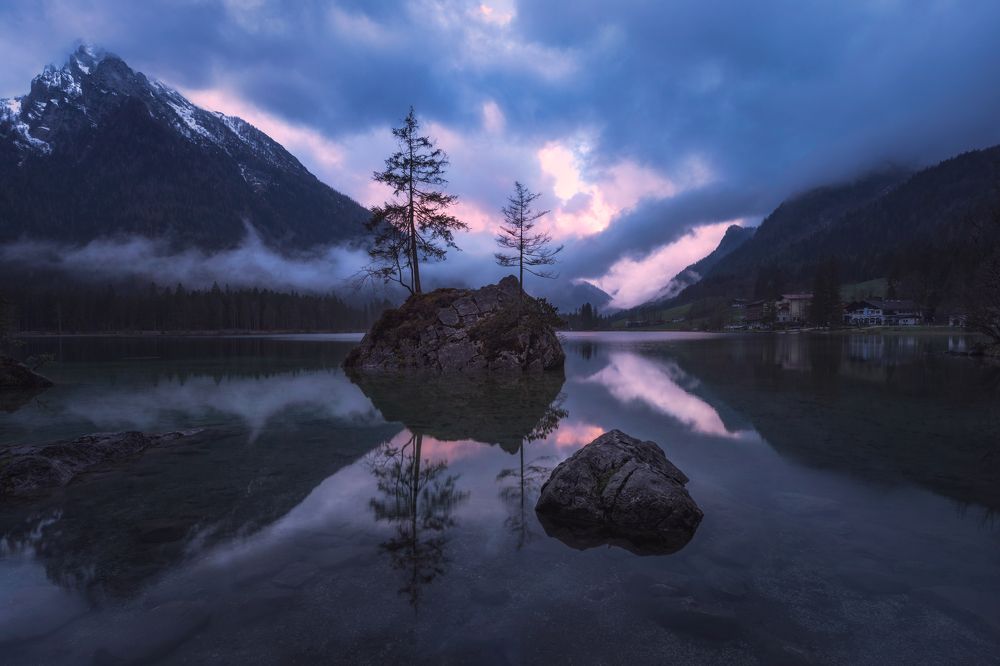 Photograph by Lara Iris